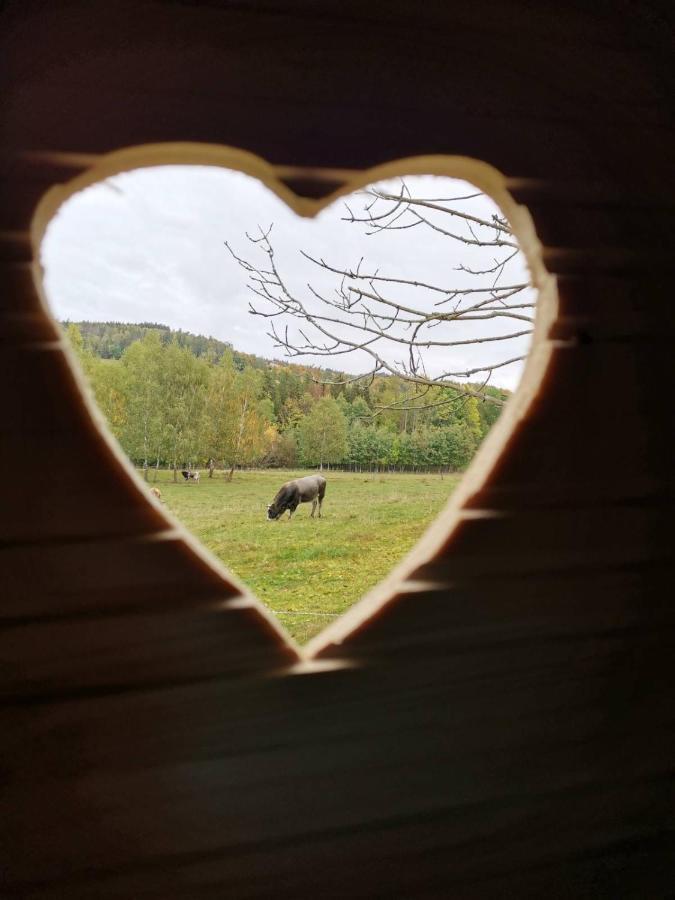 Zazitkovy Pobyt Uprostred Prirody Zelezny Brod Bagian luar foto